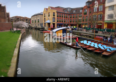 Punting sul fiume Cam Foto Stock