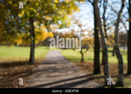 Inquadratura sfocata preso in un parco in un sobborgo. Foto Stock