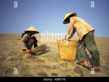 Due donne ampie Foto Stock