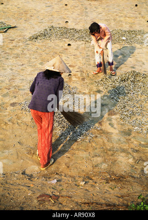 Donne spazzando dei pesci Foto Stock