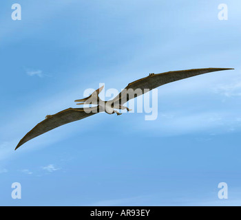 Pteranodon dinosauri Foto Stock