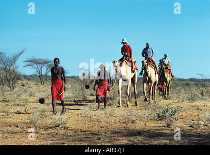 Quattro caucasico bianco i clienti con i loro Samburu guide su un cammello trekking safari nel nord del Kenya Africa orientale Foto Stock