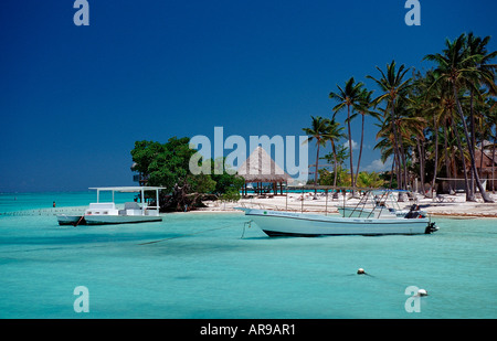 Spiaggia di sabbia Punta Cana Caraibi Repubblica Dominicana Foto Stock