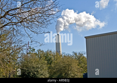 Ciminiere da una power plant eruttazioni fumo bianco dietro gli alberi. Foto Stock