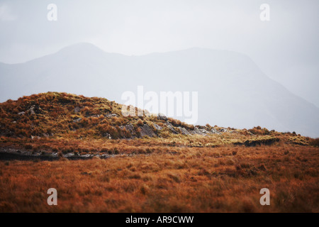 La torba o Turf Bog in Connemara County Galway Repubblica di Irlanda Europa Foto Stock