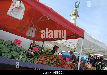 Mercato degli Agricoltori Foto Stock