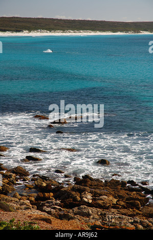 Whale gracidare punto spento Ann Fitzgerald River National Park e la Riserva della Biosfera dell Australia Occidentale Foto Stock