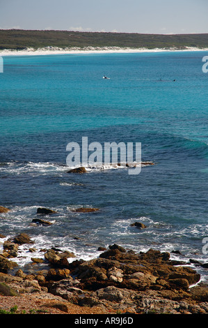 Madre di balena e vitello gracidare punto spento Ann Fitzgerald River National Park e la Riserva della Biosfera dell Australia Occidentale Foto Stock