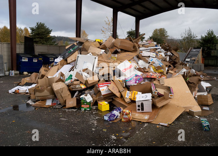 Cestino per il dump e il sito di riciclaggio Issaquah Washington Foto Stock