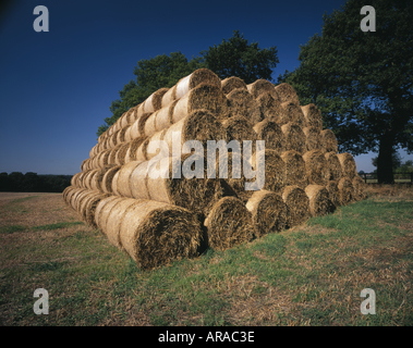 Le balle di paglia ordinatamente impilati in un campo a trasformata per forte gradiente Cross Staffordshire Foto Stock