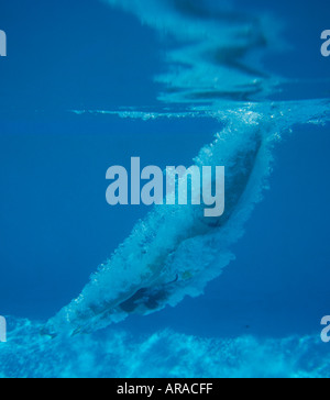 Giovane donna tuffarsi in piscina Foto Stock