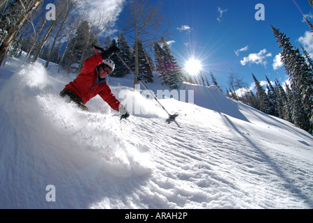 Un uomo gli sci attraverso le profonde in polvere in una giornata di sole vicino a Telluride Colorado Foto Stock