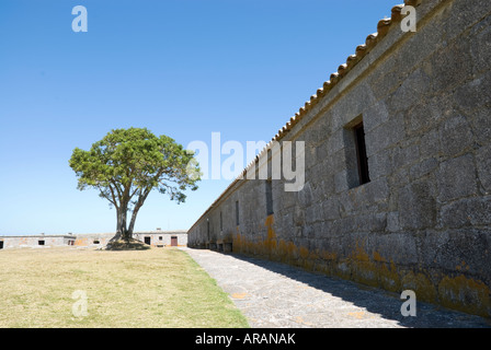 Tagliate di colpo all'interno di 'Fortaleza Santa Teresa", Rocha, Uruguay. Foto Stock