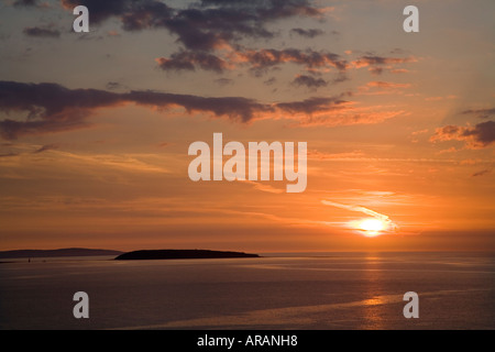 Puffin o Priestholm Isola e Anglesey da Ross on Wye North Wales UK Foto Stock
