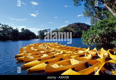 In canoa sul fiume Katherine Nitmiluk National Park di Territorio del Nord Australia Foto Stock