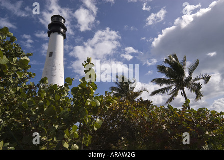 Faro si affaccia sul paesaggio tropicale, Bill Baggs Cape Florida State Park, Key Biscayne, Florida Foto Stock