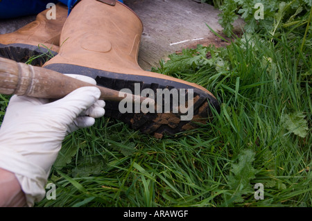 Lo scienziato forense la raccolta di campioni di suolo da stivali del defunto. Foto Stock