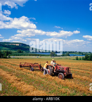 Campo di fattoria nel sud Ontario, Canada Foto Stock