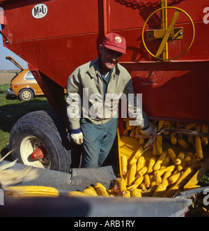 Coltivatore di mais in Southern Ontario, Canada Foto Stock