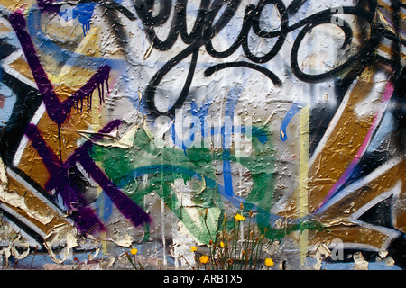 I graffiti sulla parete Foto Stock