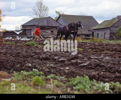 Il contadino arando il suo campo con un cavallo in rurale;Ontario Canada Foto Stock