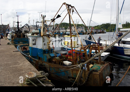 Trawler barche da pesca a Stornoway Ebridi Esterne Regno Unito Foto Stock