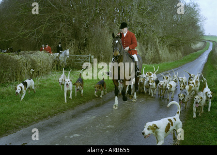 Huntsman per il Sud Wold la caccia con il segugio Belchford pack su una strada di campagna del Lincolnshire Wolds. Foto Stock