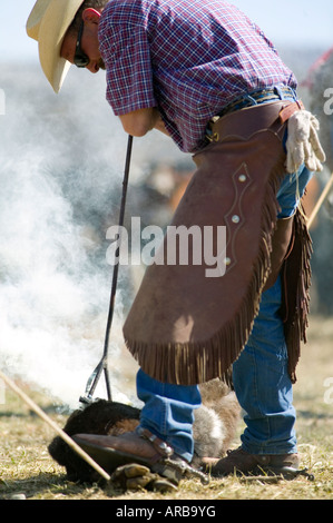 Signor Cowboy marca bovini sul Hanley Ranch nel cuore del paese di ioni Jordan Valley Oregon Foto Stock