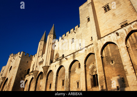 Palais des Papes, Avignone, Provenza, Francia Foto Stock