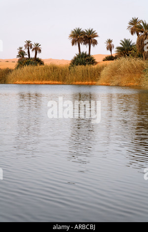 Um al lago Ma Ubari laghi nel deserto del Sahara Libia Foto Stock