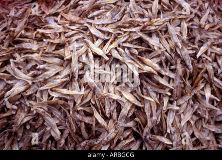 Fornitore di cibo, fornitore di acciuga, vendita di acciughe, alici in vendita, anchoa, pesce per la vendita, città di Patzcuaro, Patzcuaro Michoacan, stato, Messico Foto Stock