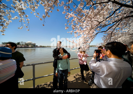 Scattare fotografie presso il National Cherry Blossom Festival di Washington DC. Tidal Basin con il Jefferson Memorial in background Foto Stock