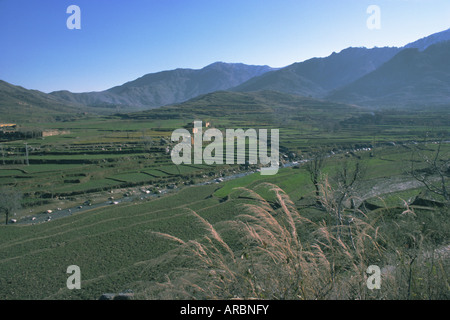 Il paesaggio agricolo vicino Murghazar, Swat, Provincia di Frontiera del Nord Ovest, Pakistan, Asia Foto Stock