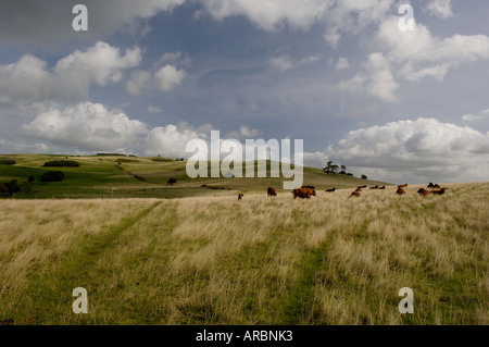 Vista verso il nord-est da Offa s Dyke lunga distanza sentiero vicino Whitton Shropshire REGNO UNITO Foto Stock