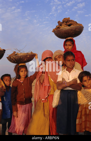 Le donne e i bambini la raccolta del letame per i loro fuochi, nei pressi di Khimsar, Rajasthan, India Foto Stock