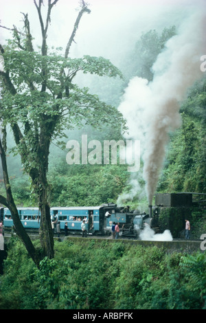 Treno a vapore sul modo di Darjeeling, stato del Bengala Occidentale, India, Asia Foto Stock