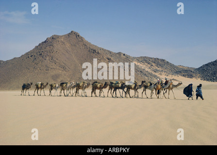 Il Tuareg e moglie portando camel train attraverso il deserto vicino a Djanet, Algeria, Nord Africa Foto Stock
