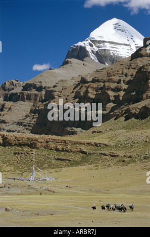 Yak il treno si avvicina Tarboche, sulla kora round montagna sacra, Monte Kailas (Kailash), Tibet, Cina Foto Stock