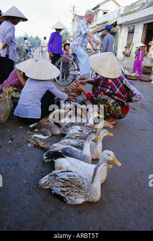 Anatre con loro i piedi legati per la vendita in area di mercato, Hoi An, Vietnam, Indocina, Asia sud-orientale, Asia Foto Stock