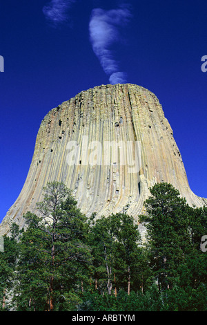 Devil's Tower, il Dakota del Sud, Stati Uniti d'America (USA), America del Nord Foto Stock