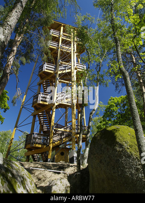 Granitstone heath vicino Gmuend, legno mastio Foto Stock