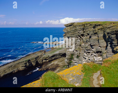 Scogliere a Brough di Birsay off la Terraferma e isole Orcadi Scozia, Regno Unito, Europa Foto Stock