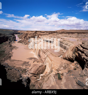 Il cioccolato Cade vicino a Flagstaff, in Arizona, Stati Uniti d'America (USA), America del Nord Foto Stock