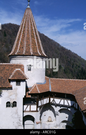 Castello di Bran (Castello di Dracula), crusca, Romania, Europa Foto Stock