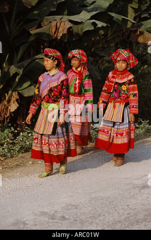 Gruppo di tre fiori donne Hmong in abito tradizionale, a sud di Sapa, il Vietnam del Nord, Vietnam, Indocina, Asia sud-orientale, Asia Foto Stock