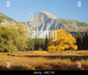 Mezza Cupola in autunno, Yosemite National Park, California, Stati Uniti d'America Foto Stock