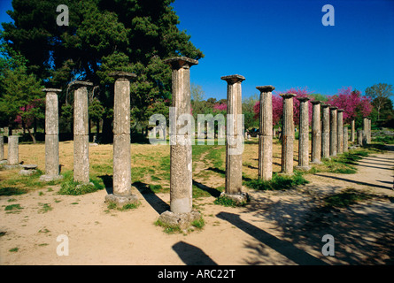 Olympia, luogo di nascita dei giochi olimpici in 776 BC, Grecia, Europa Foto Stock