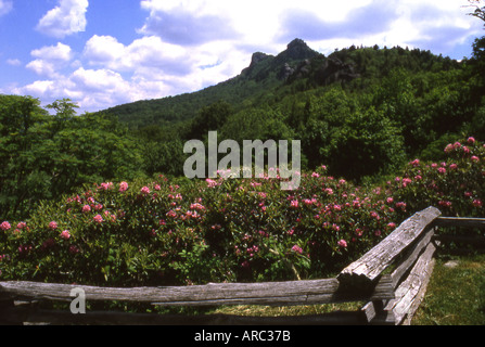 Il nonno di montagna del Nord Carolina USA Foto Stock