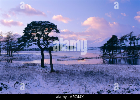 Loch Tulla in inverno, Rannoch Moor, regione delle Highlands, Scotland, Regno Unito, Europa Foto Stock