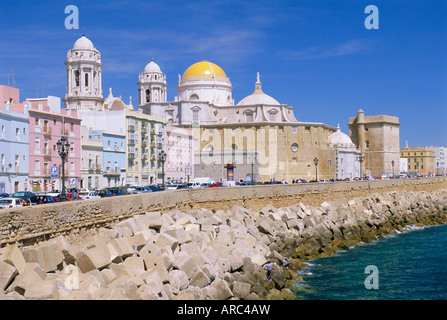 La cattedrale di Cadice, Cadice, Andalusia, Spagna Foto Stock